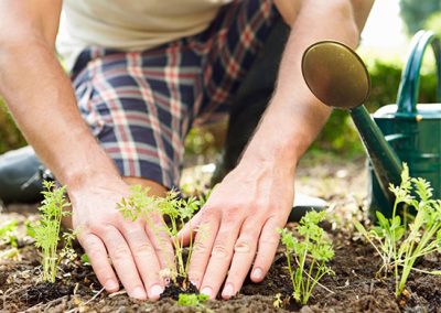 Mulching